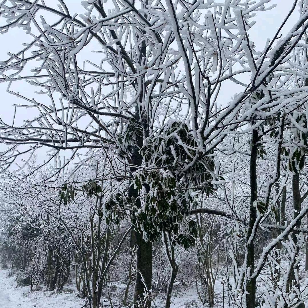 蓝天白云