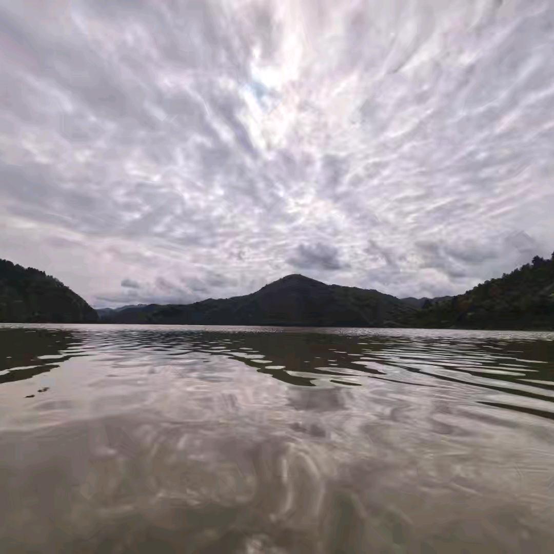 欣欣向荣