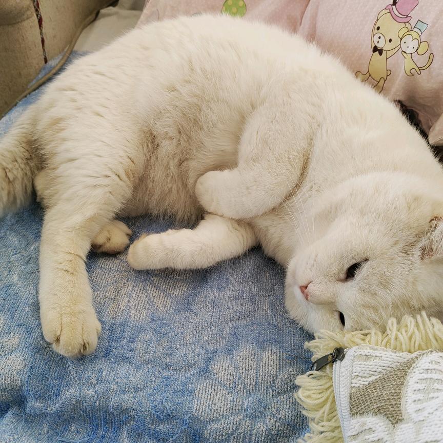 .Bui～