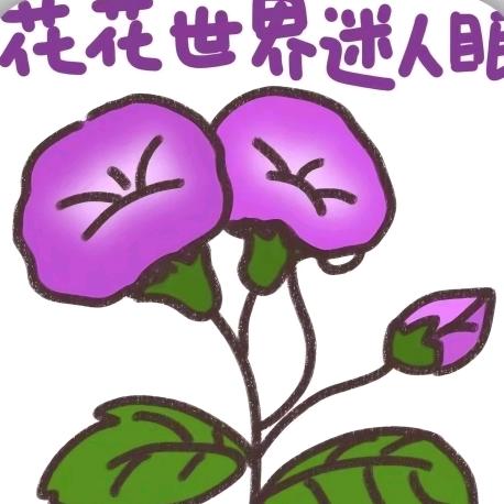 凌千