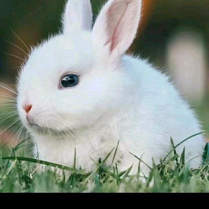 。你莫走🌹🌹🌹