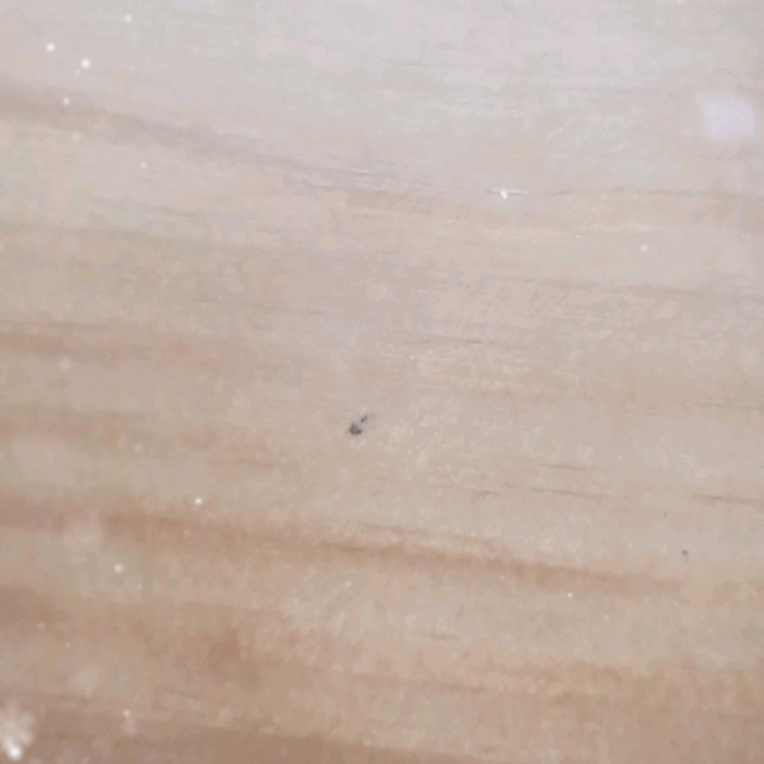 永恒的爱