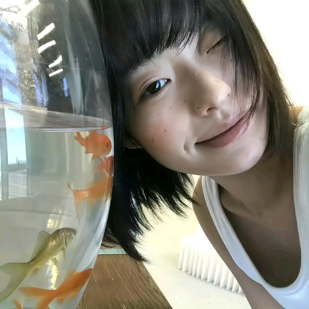 摆烂🥕