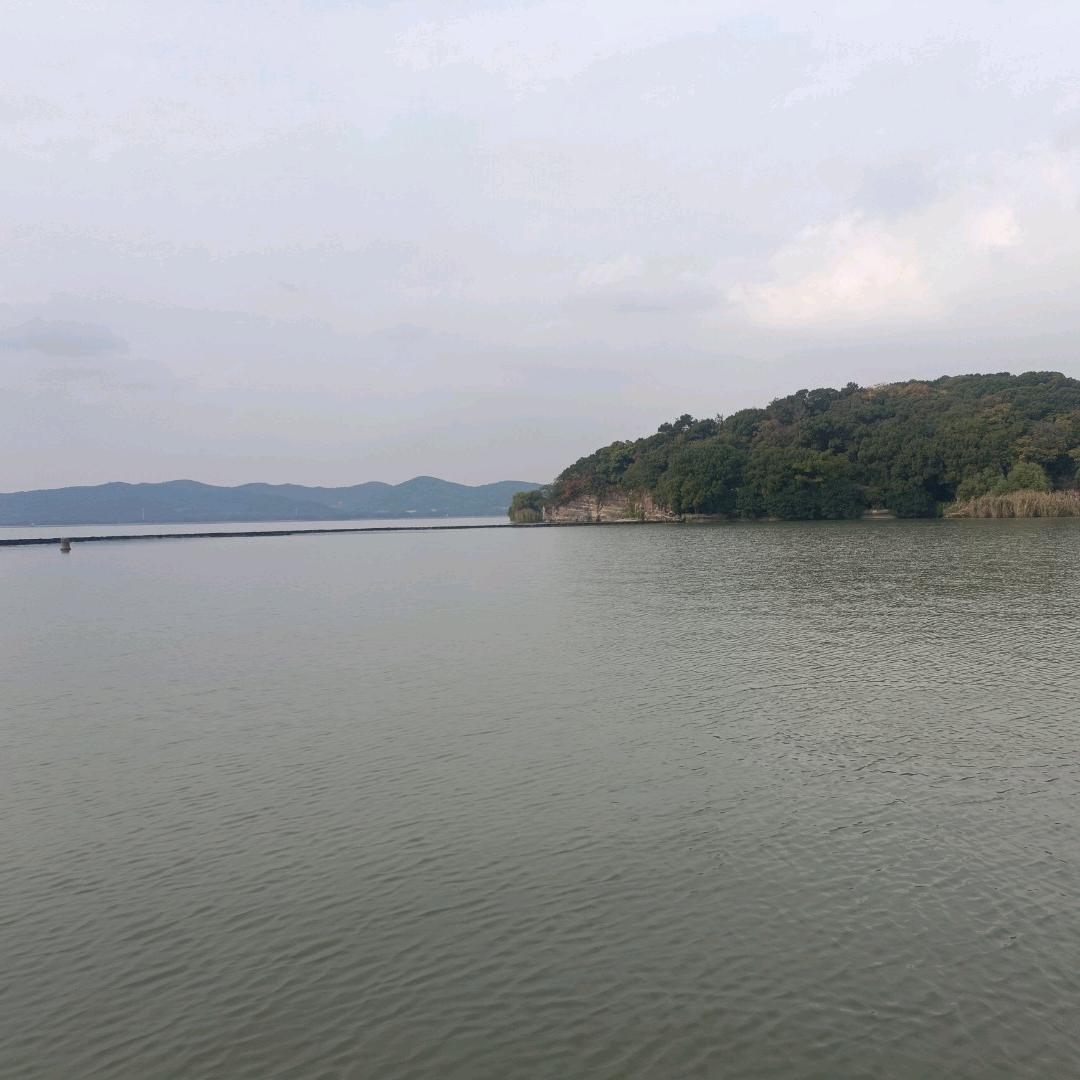 好货分享