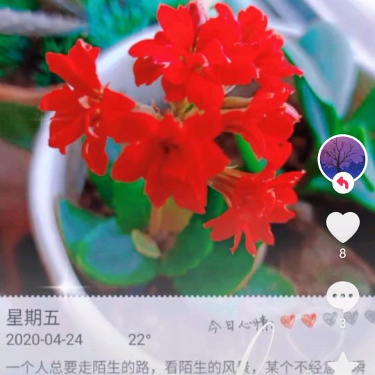 零星小雨