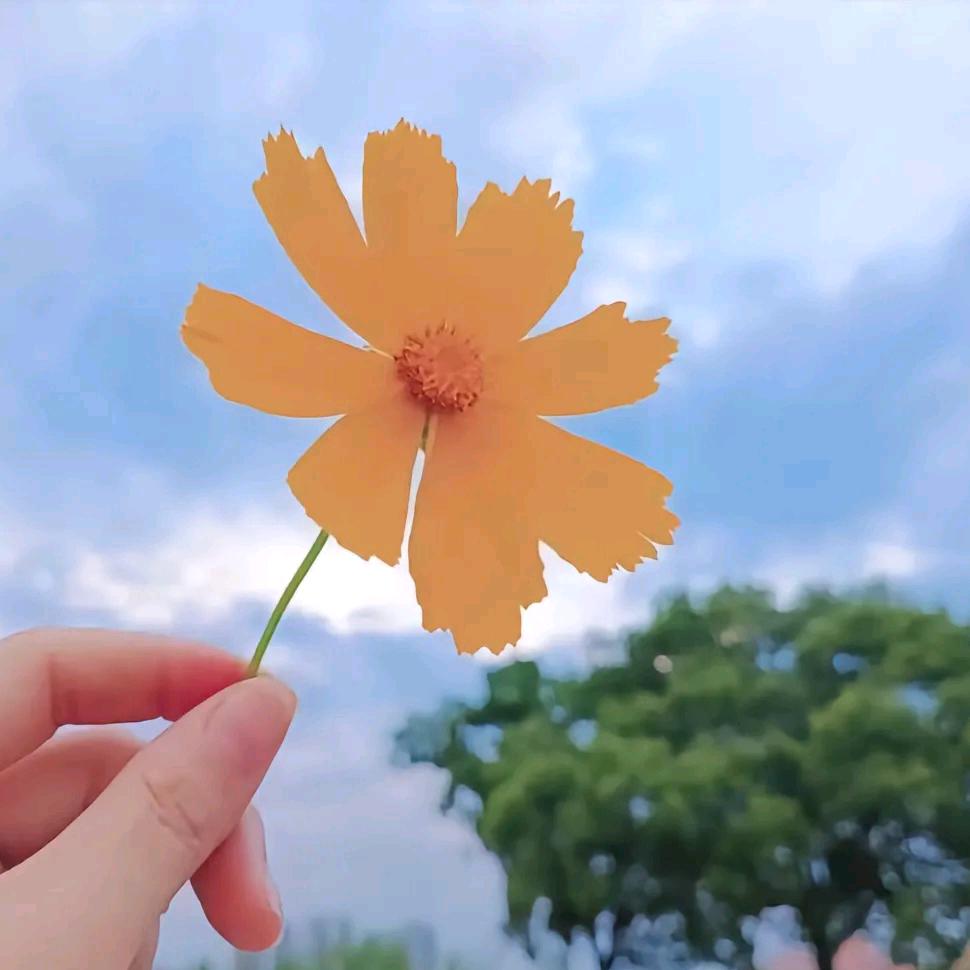 奥尔梁。