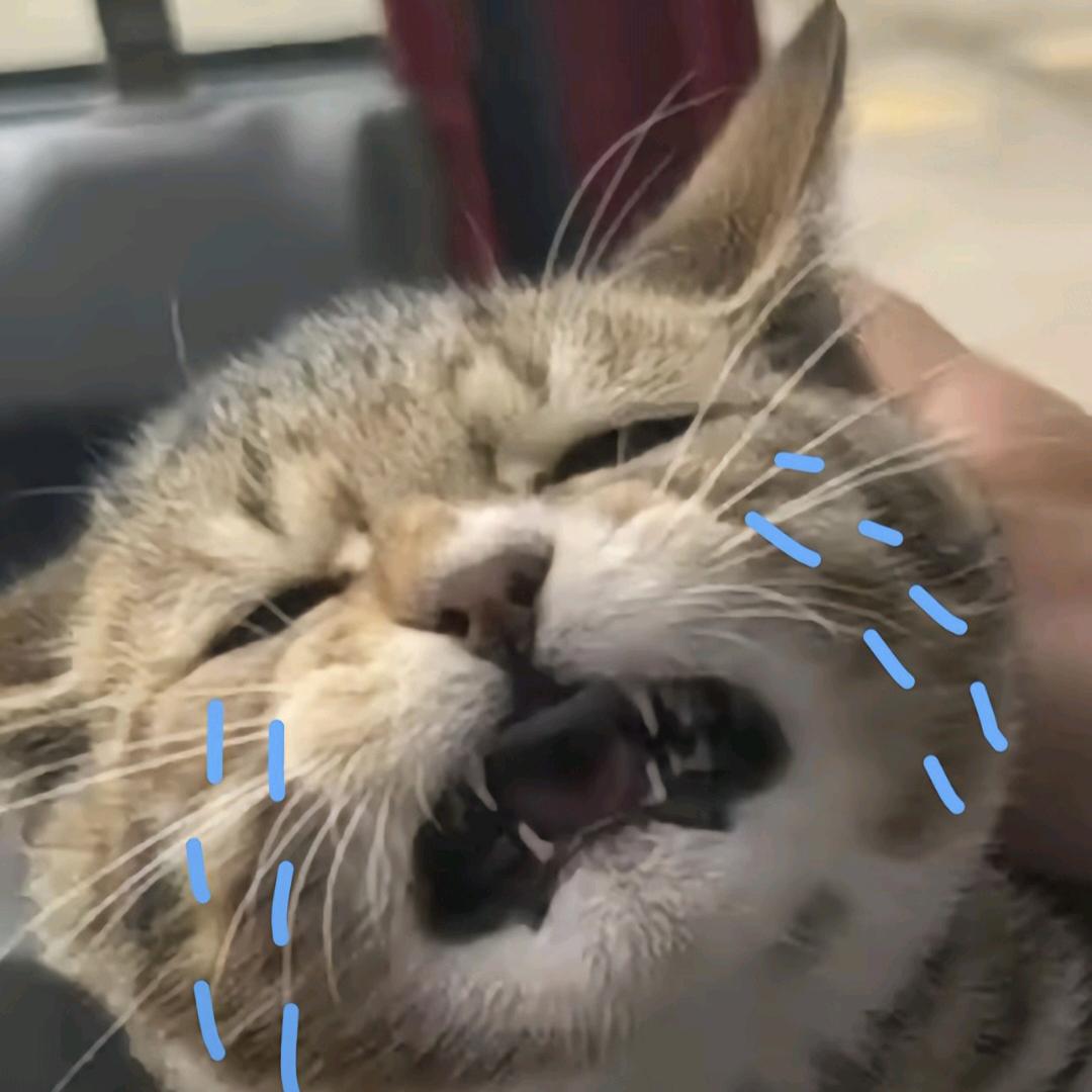 小小一