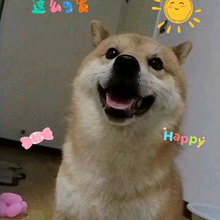 开💖包子