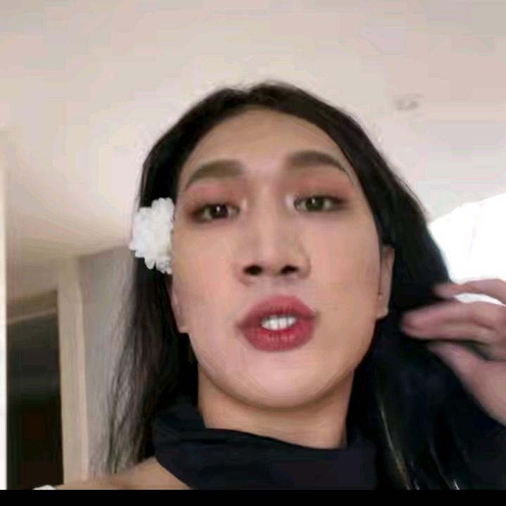 韩美娟不坑人