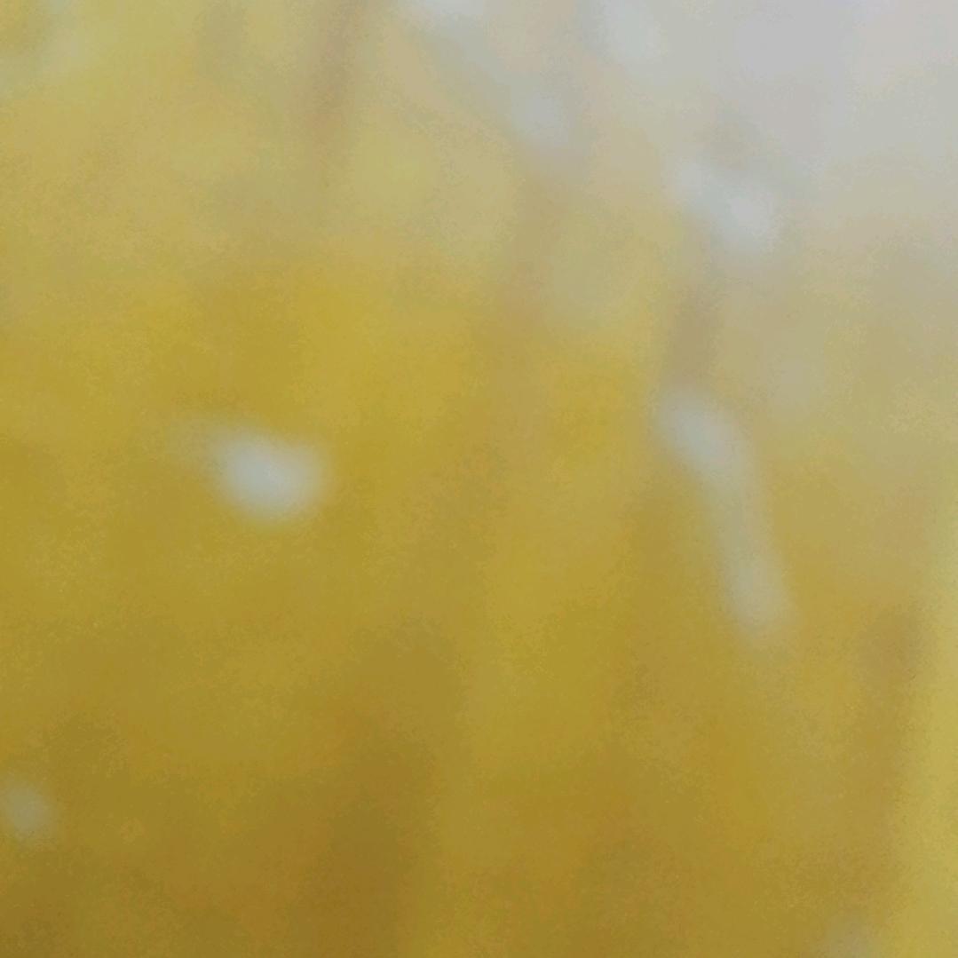 开心每一天