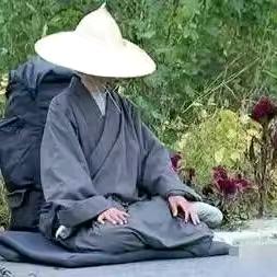 桫椤