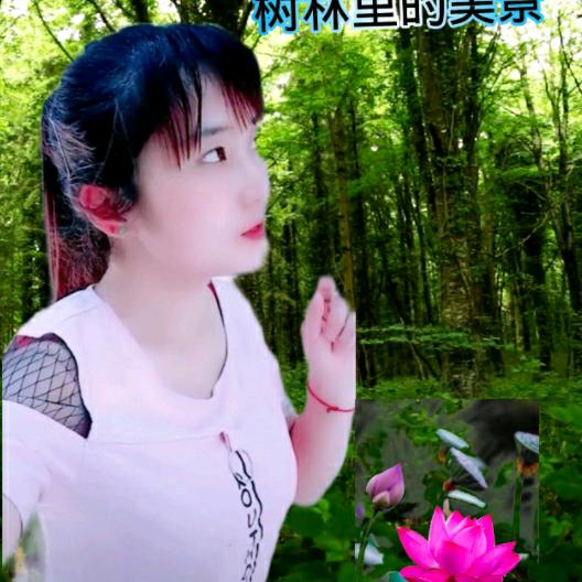 冰山雪莲a