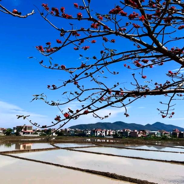 醉翁之意不在酒。241409755