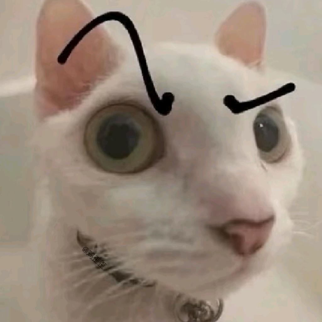 玛利亚圣母