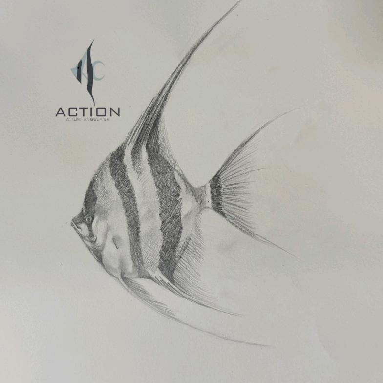 埃先生 | 埃及野彩大课堂