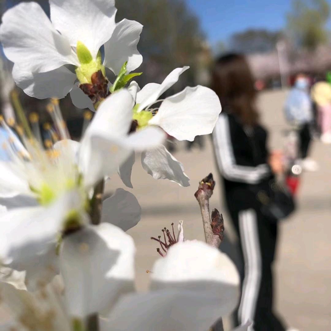 月亮🌙是我挂天上的