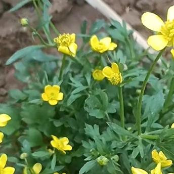 《但行善事！莫问前程》