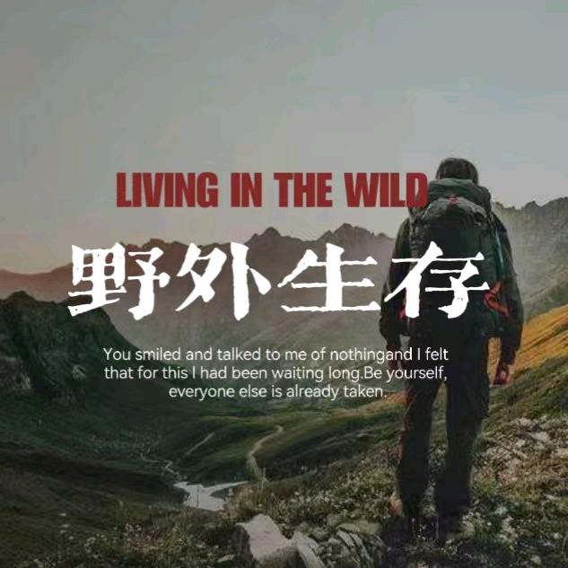 荒野大师兄