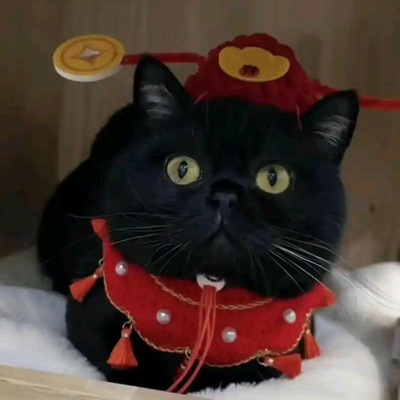 蓝波王