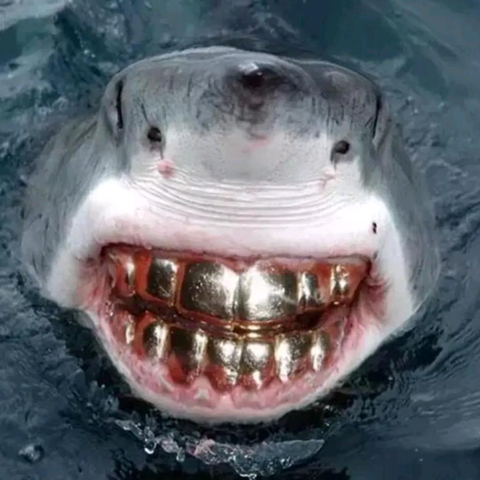 让我每天少点肉🥩