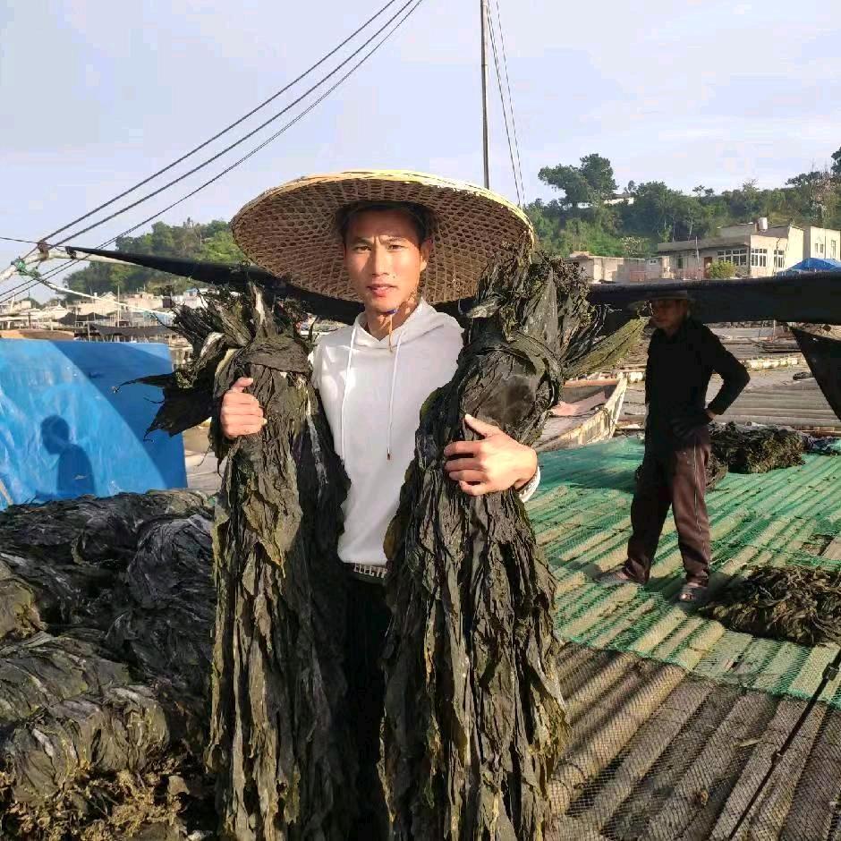 松渔坊海带