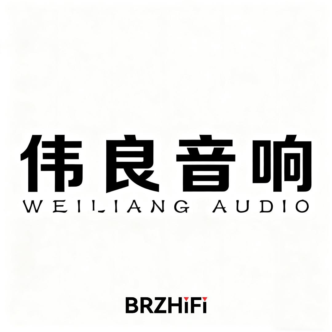 BRZHIFI佛山市博瑞远大科技有限公司影音专卖店