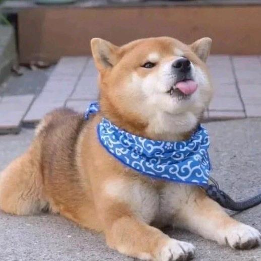 山河千里不及卿