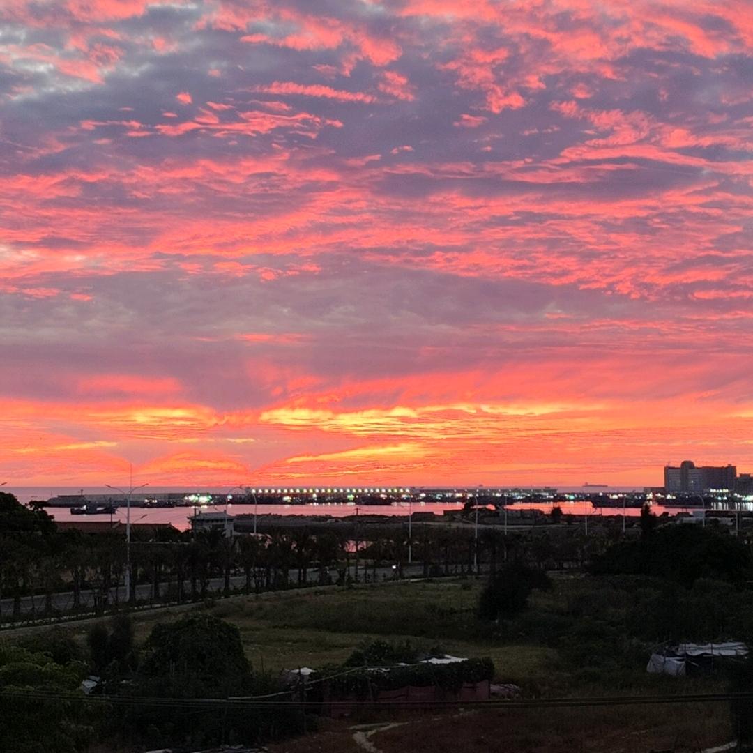 甘心情愿！🌹🌹