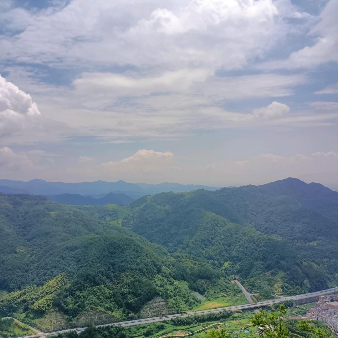 幸福的杨
