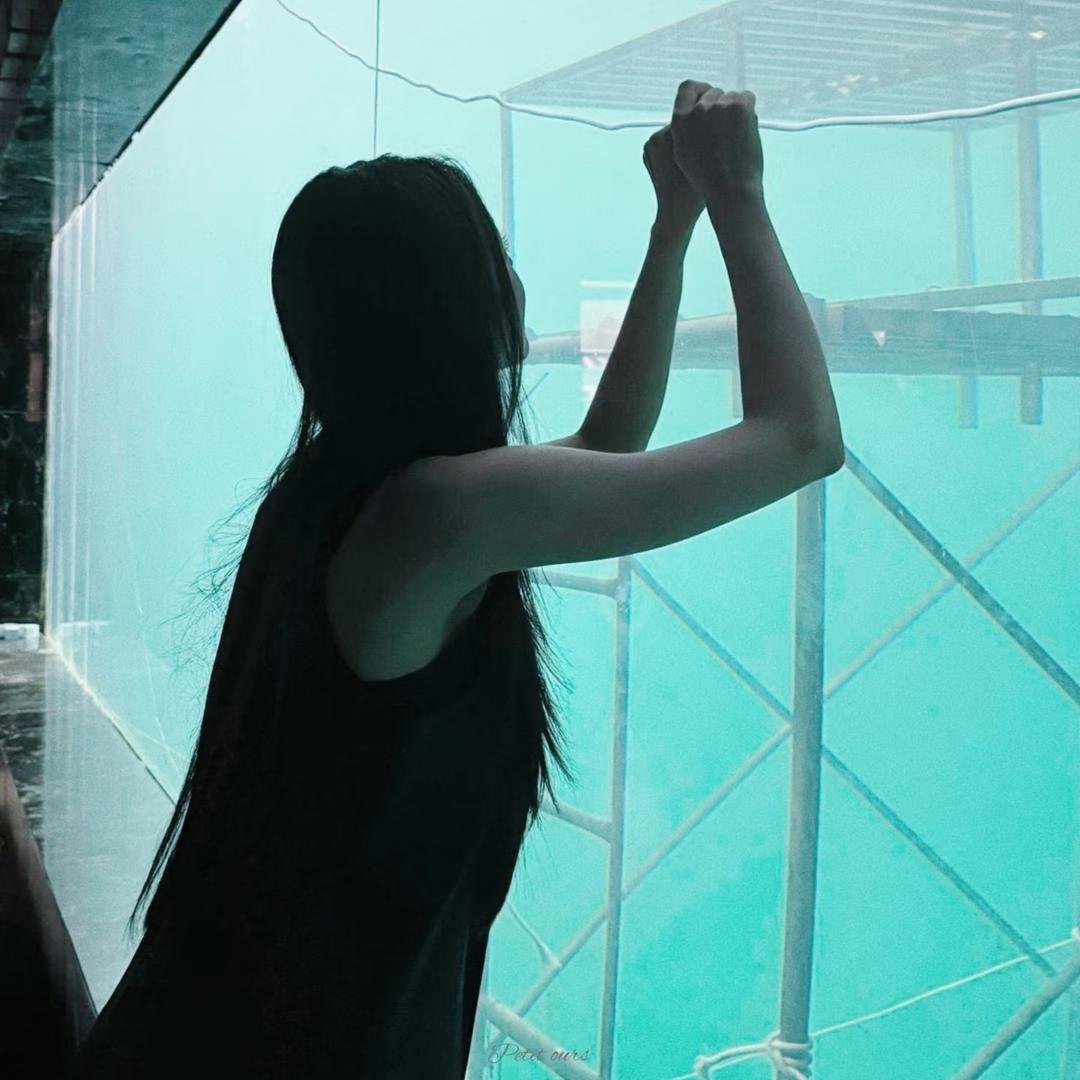 西雅图没有惋惜