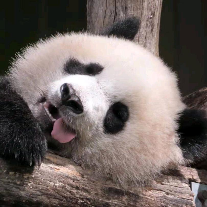 带着奇一去打仗