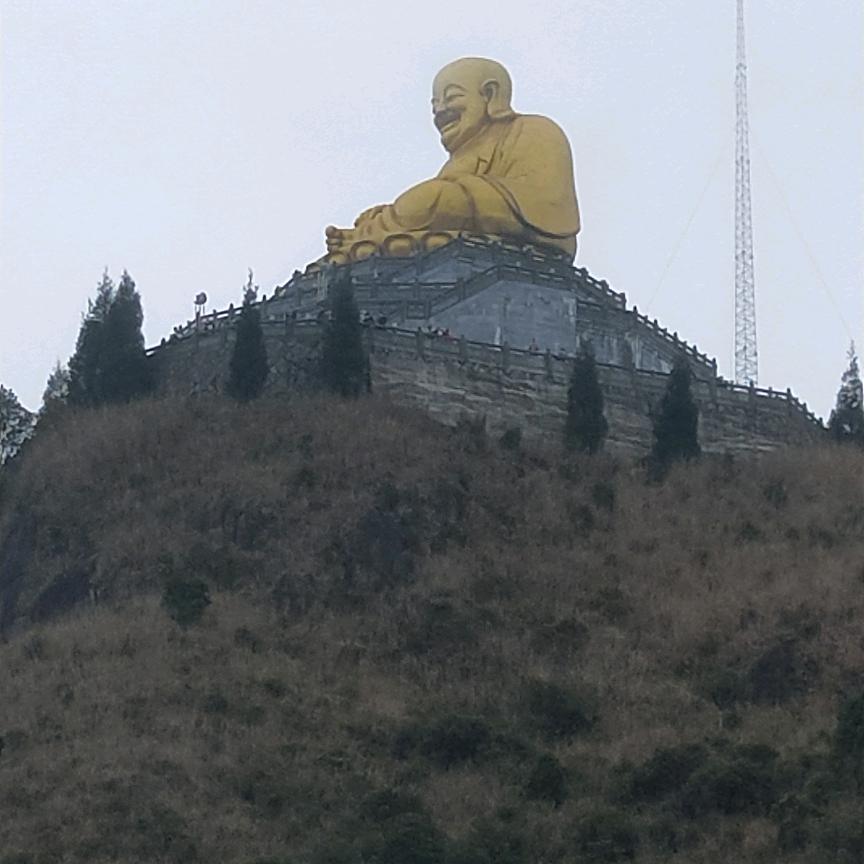 真心❤实意🌹🌹🌹