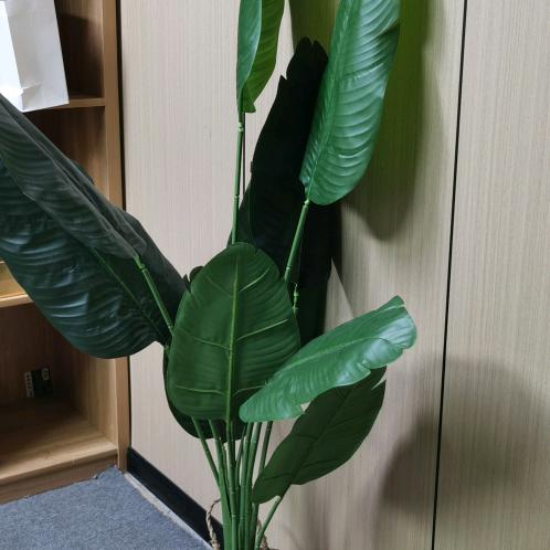 雅阁妈妈服饰商行