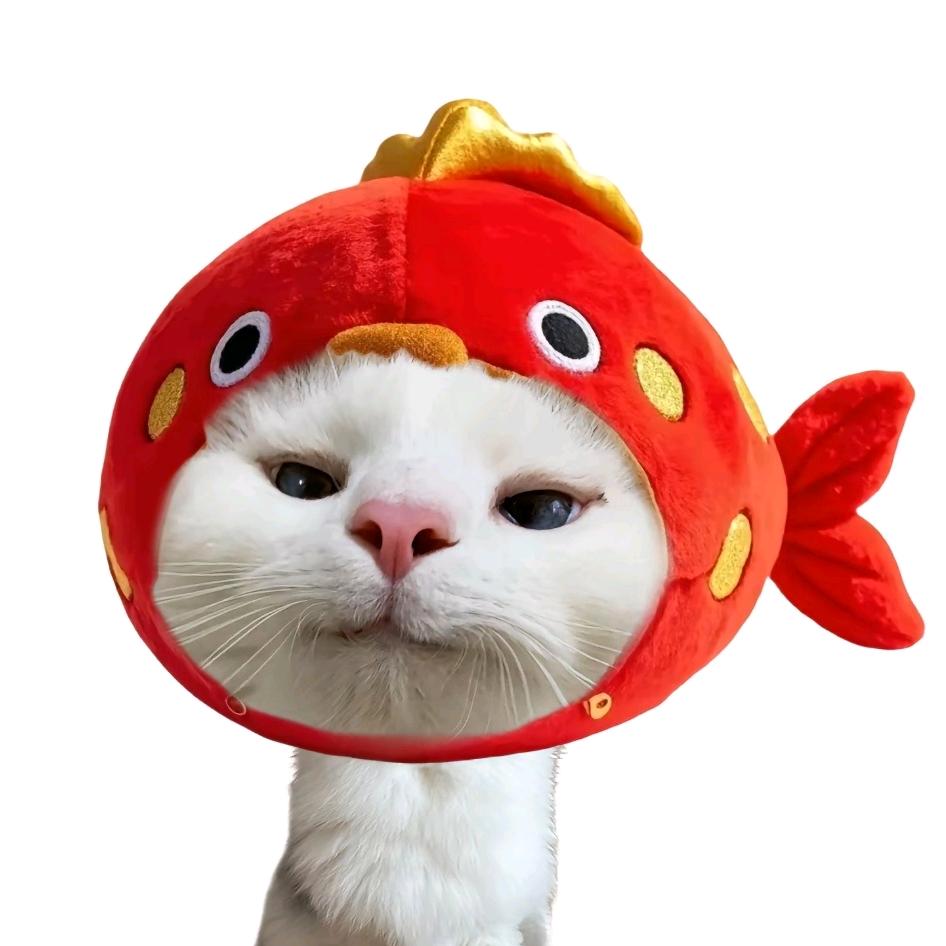 鱼大王