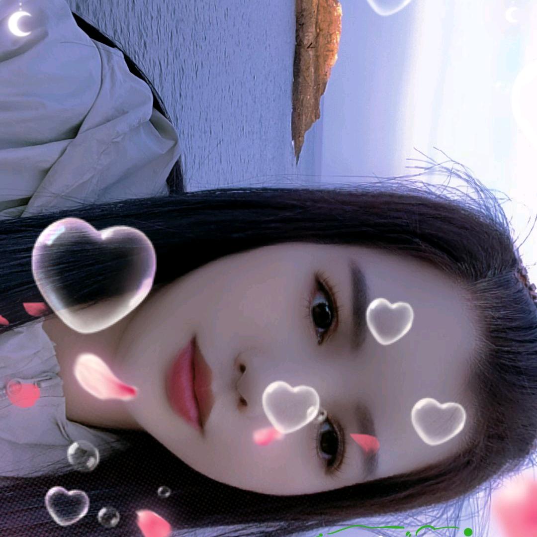 豪豪