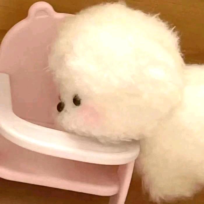 小见🐤
