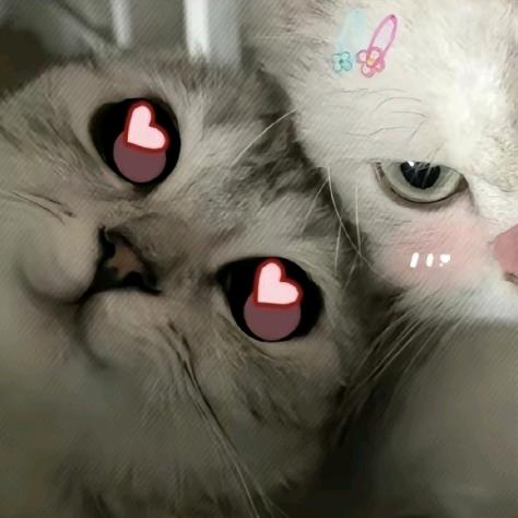 小小狗教主