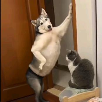 零陵上将军邢道荣