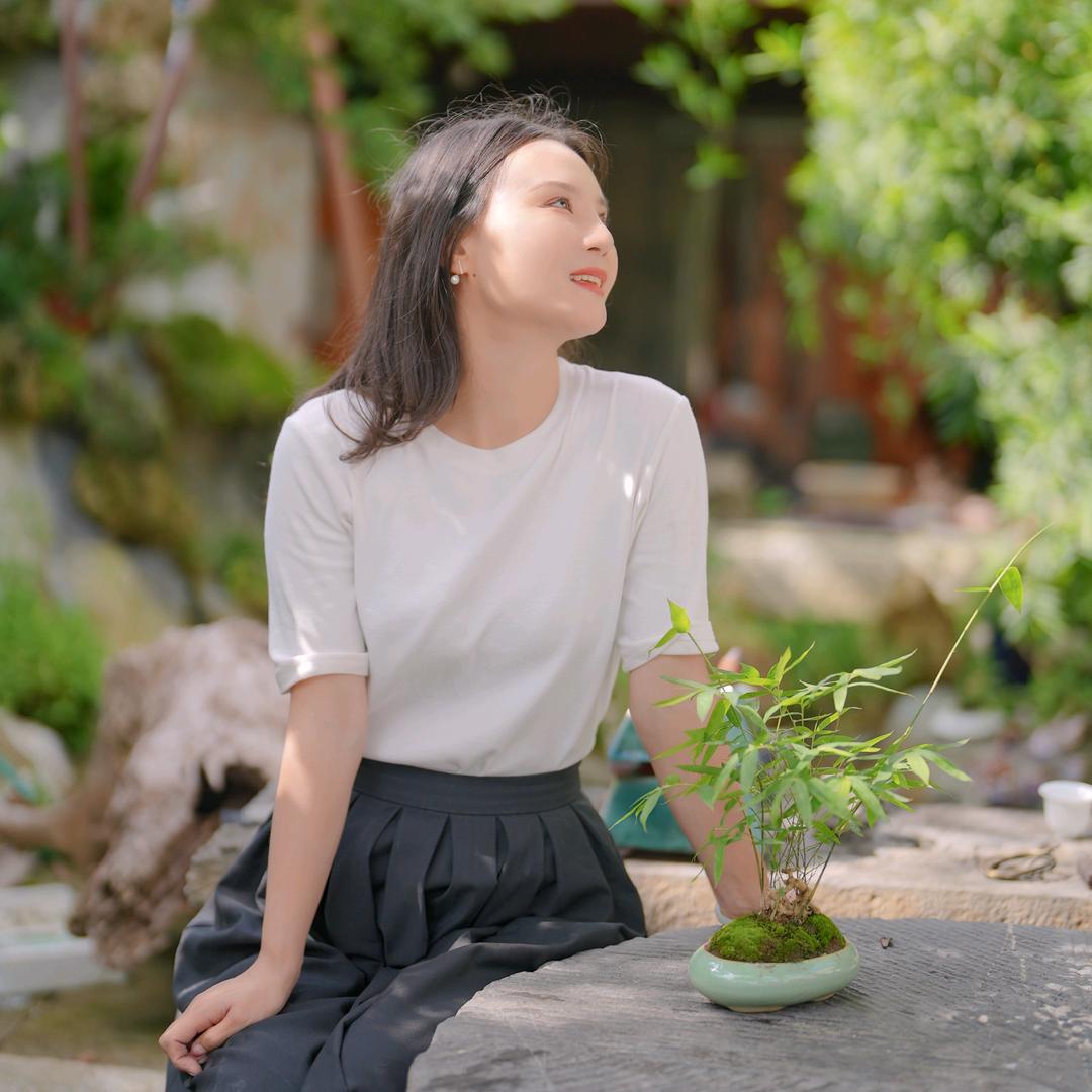 茗卉集｜盆景盆栽