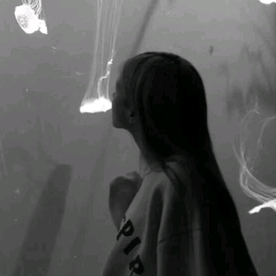 .   巴黎夜