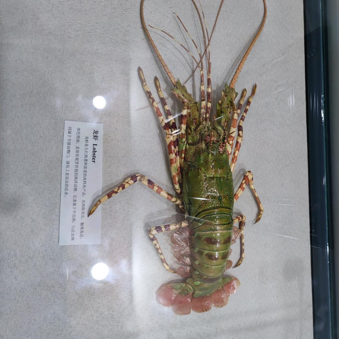 仙女不讲李✈️