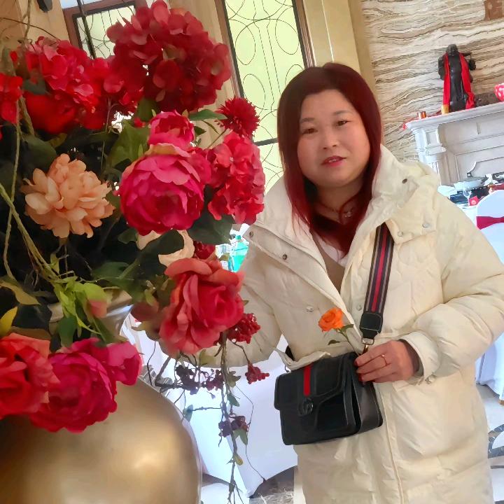 好运莲莲
