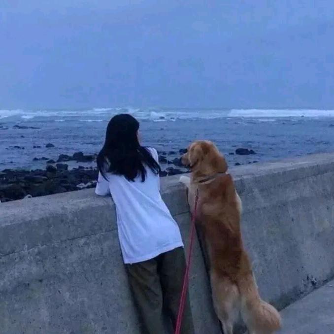 小狗企业家 （已有闺