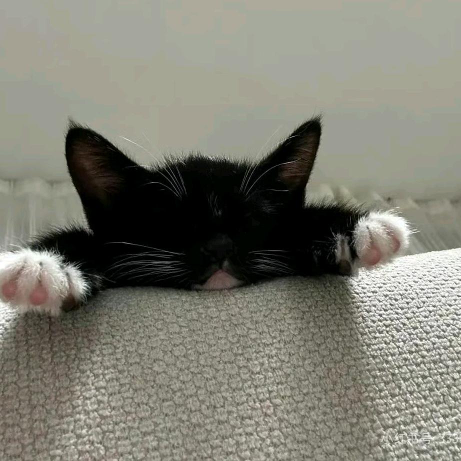 周新⭐