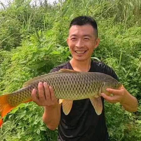 小马手工朝天钩