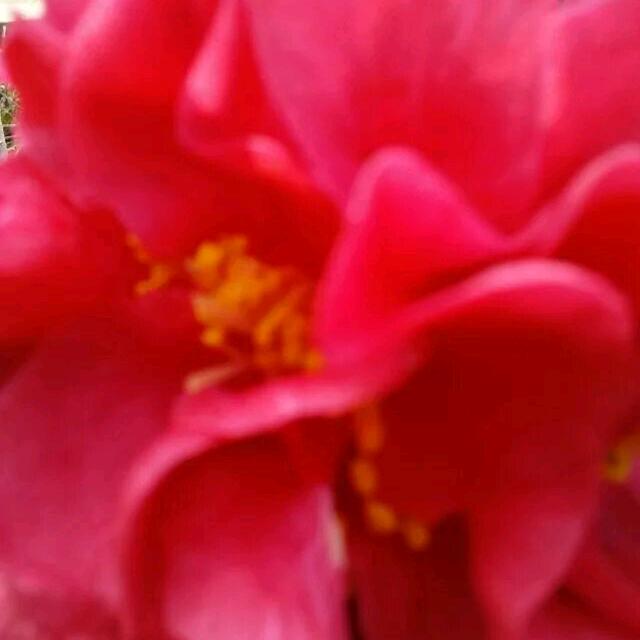 21：57=爱你无期