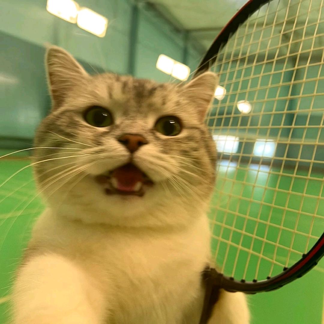 拾光移梦🏸🏸🏸