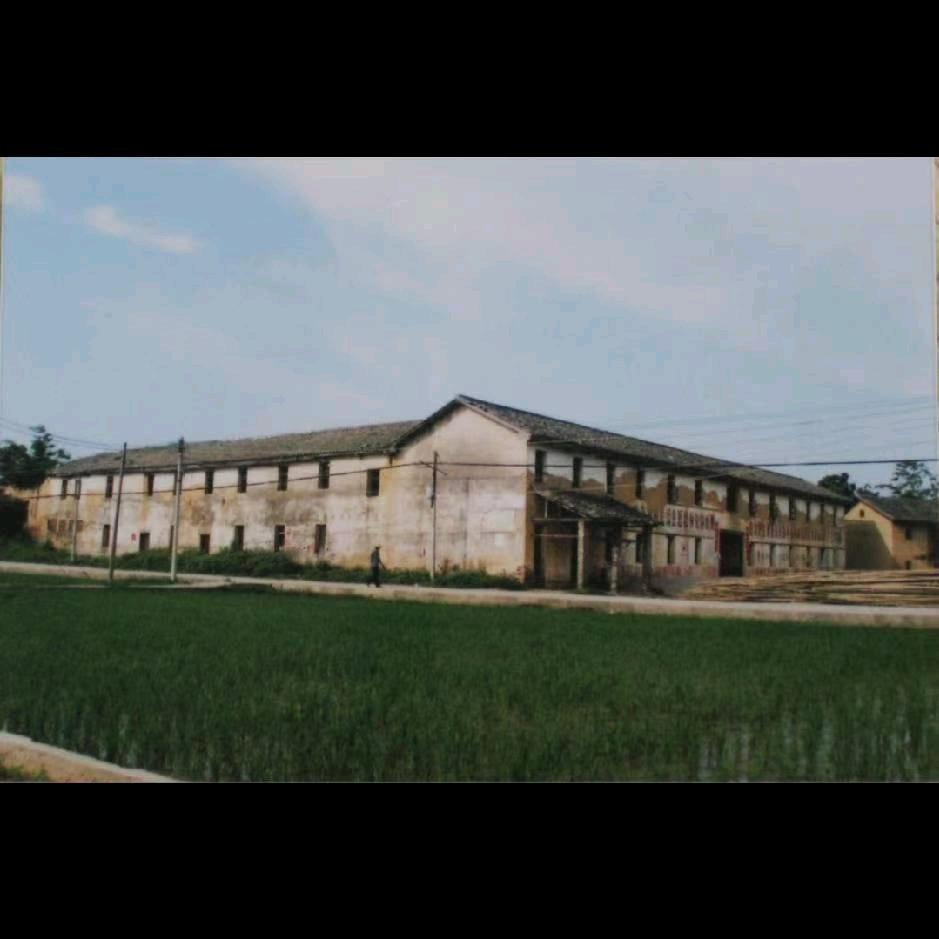 @粤 P-忠信【农村放牛人】