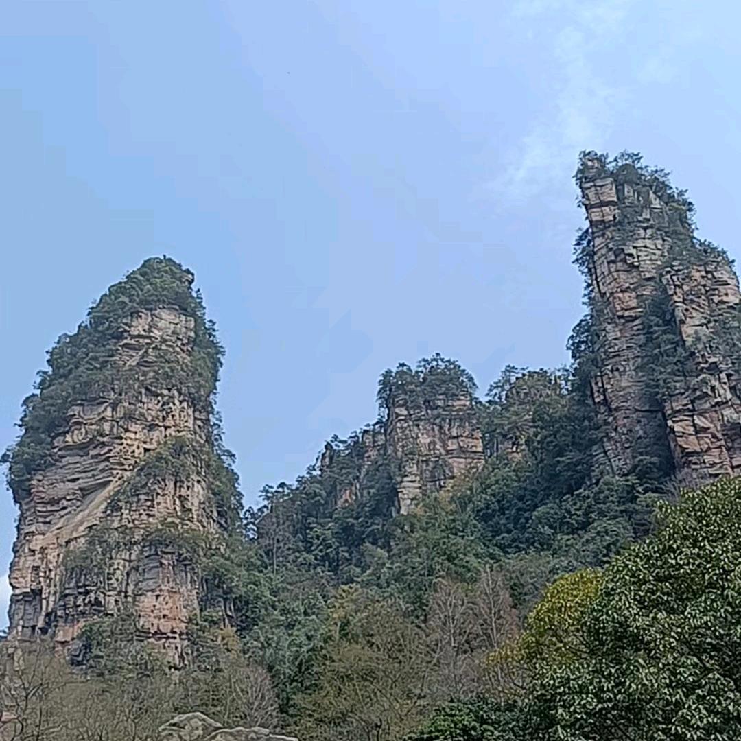 《K》先生