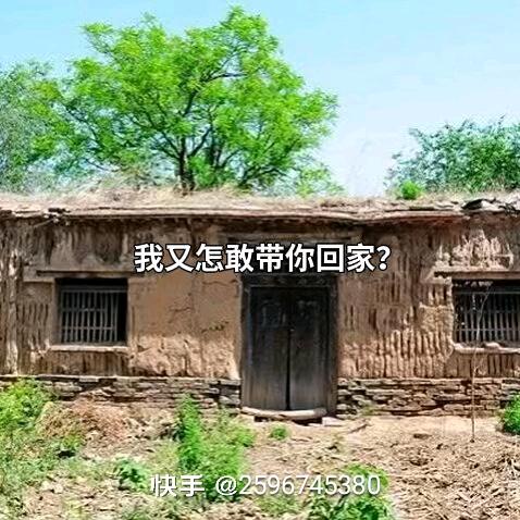 小陈的玫瑰